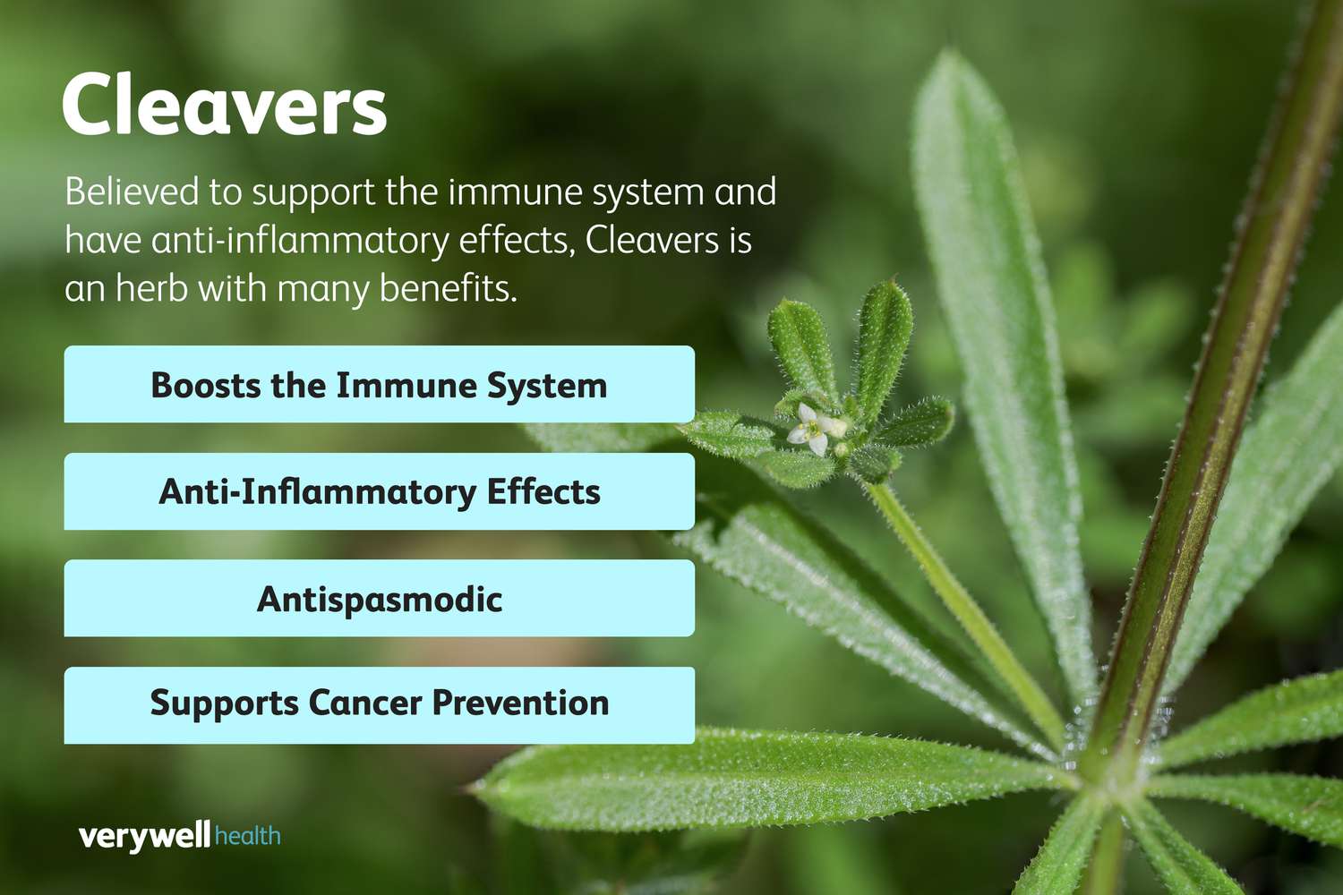 CLEAVERS