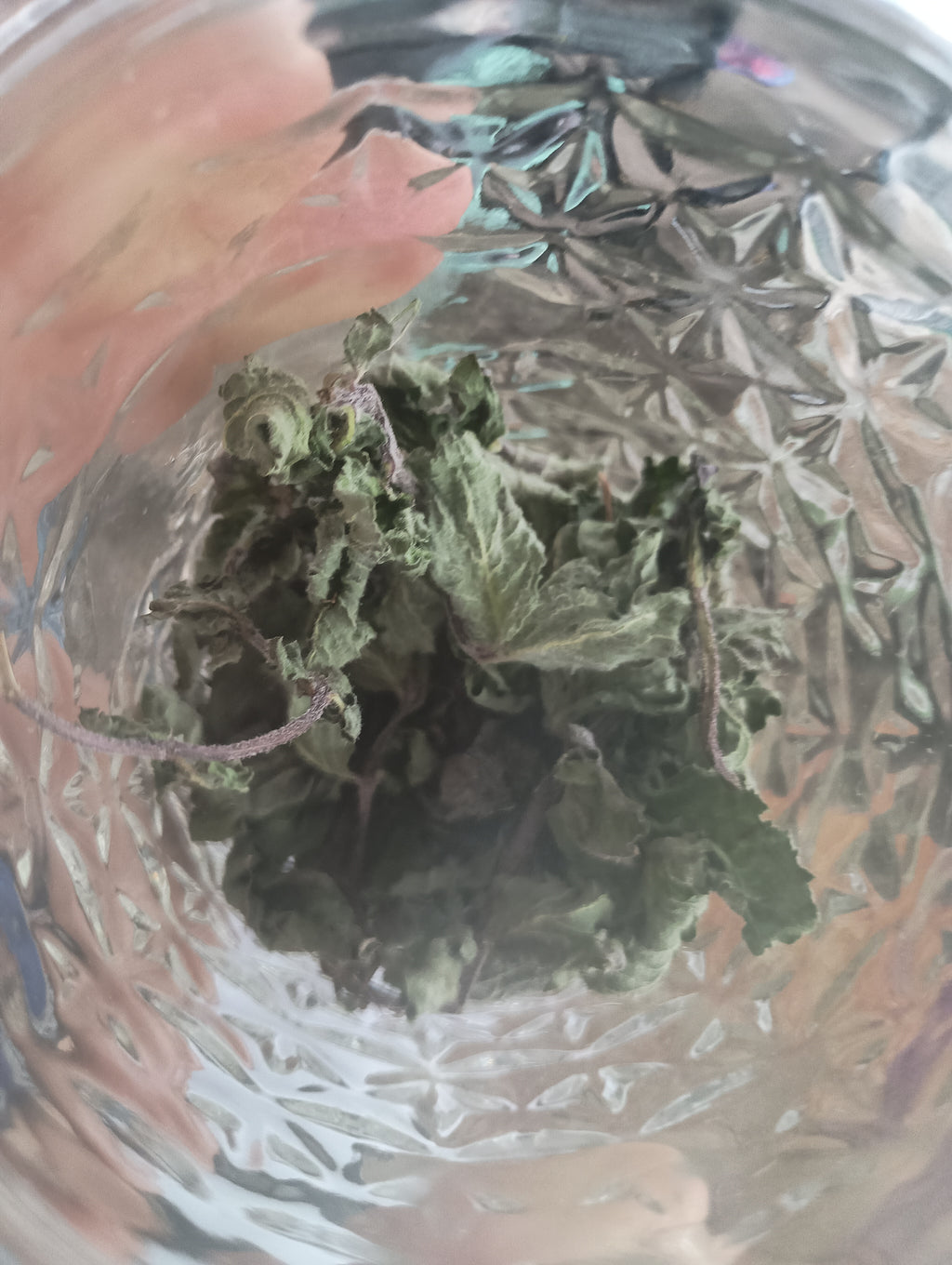 FULLY DRIED CHOCOLATE MINT