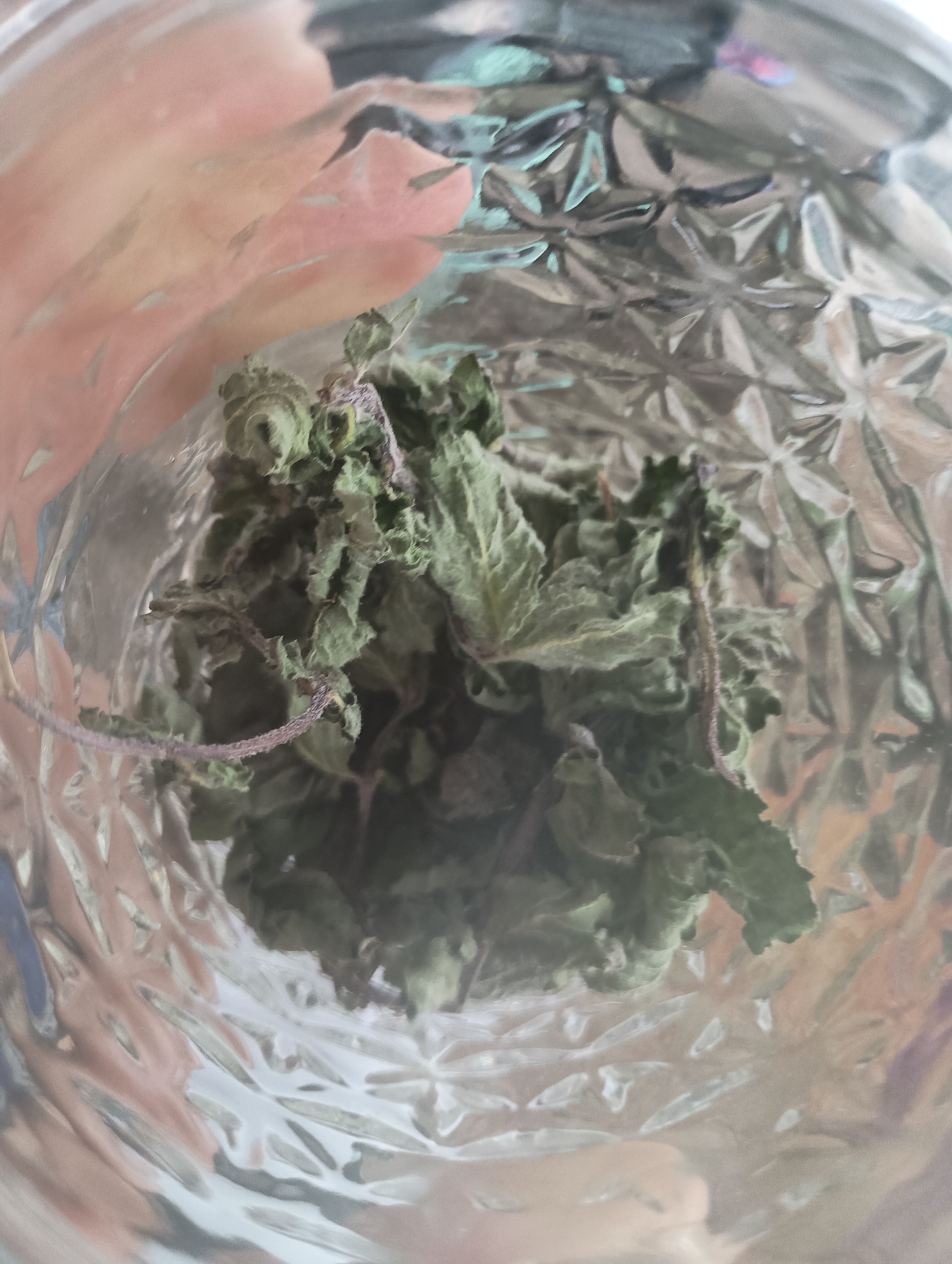FULLY DRIED CHOCOLATE MINT