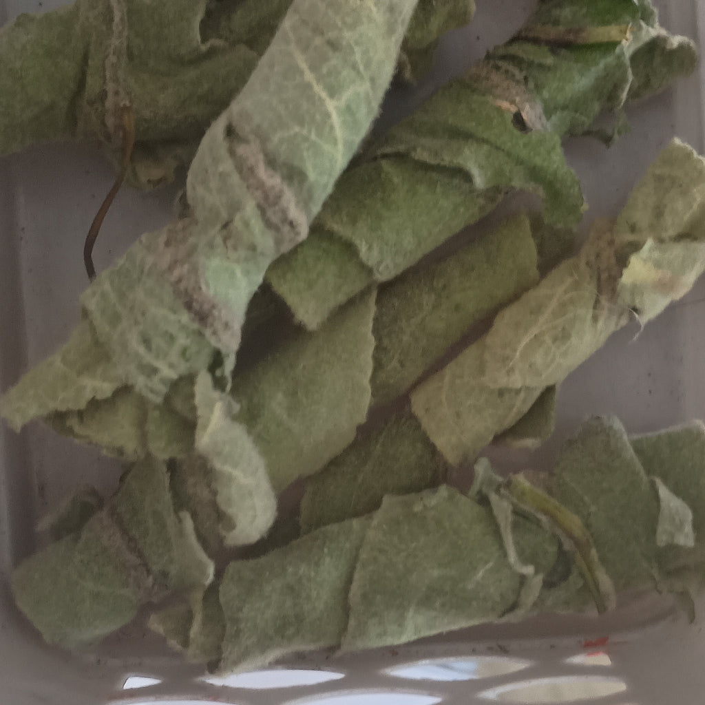 FULLY DRIED MULLEIN LEAVES