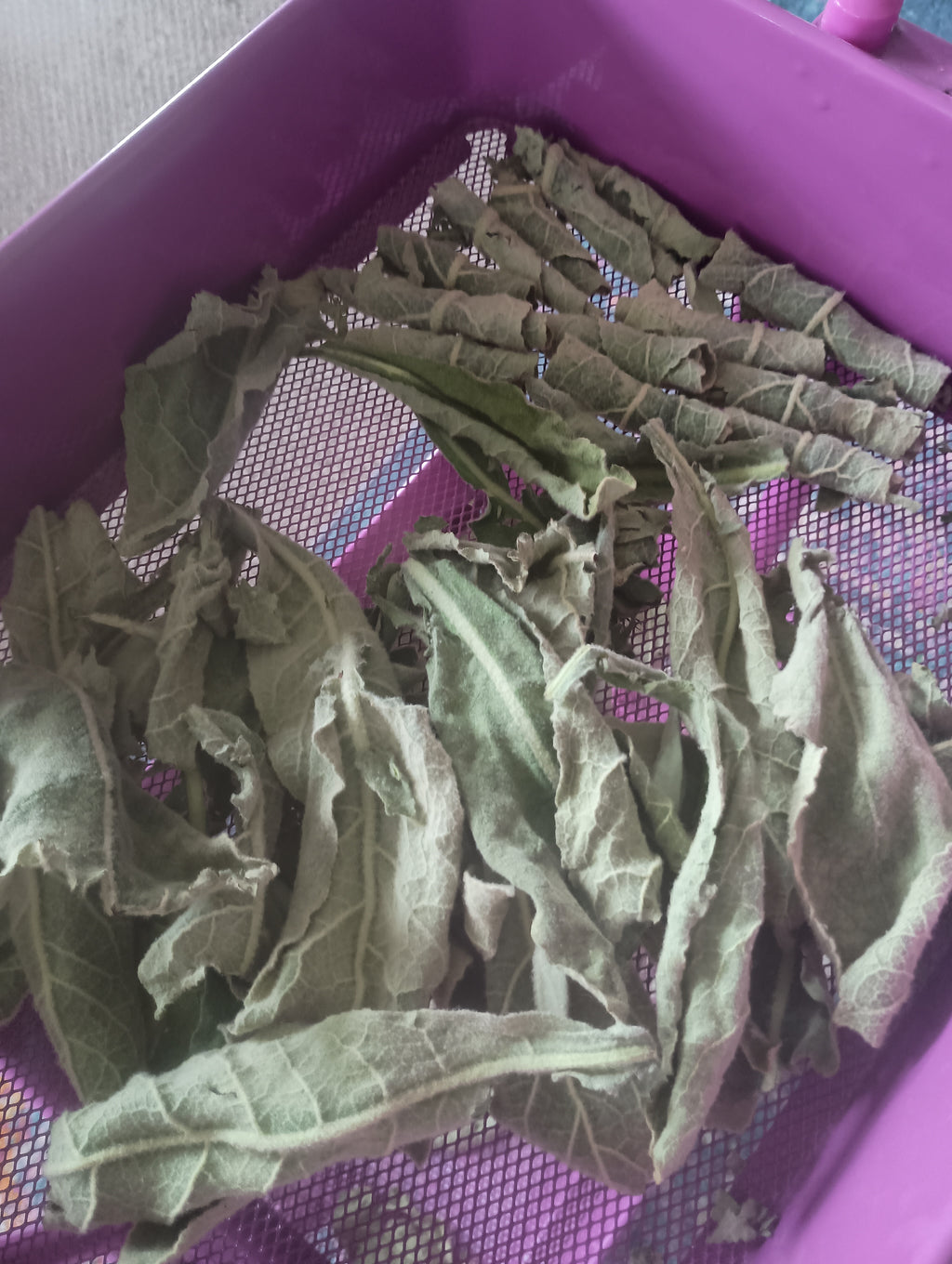 FULLY DRIED MULLEIN LEAVES