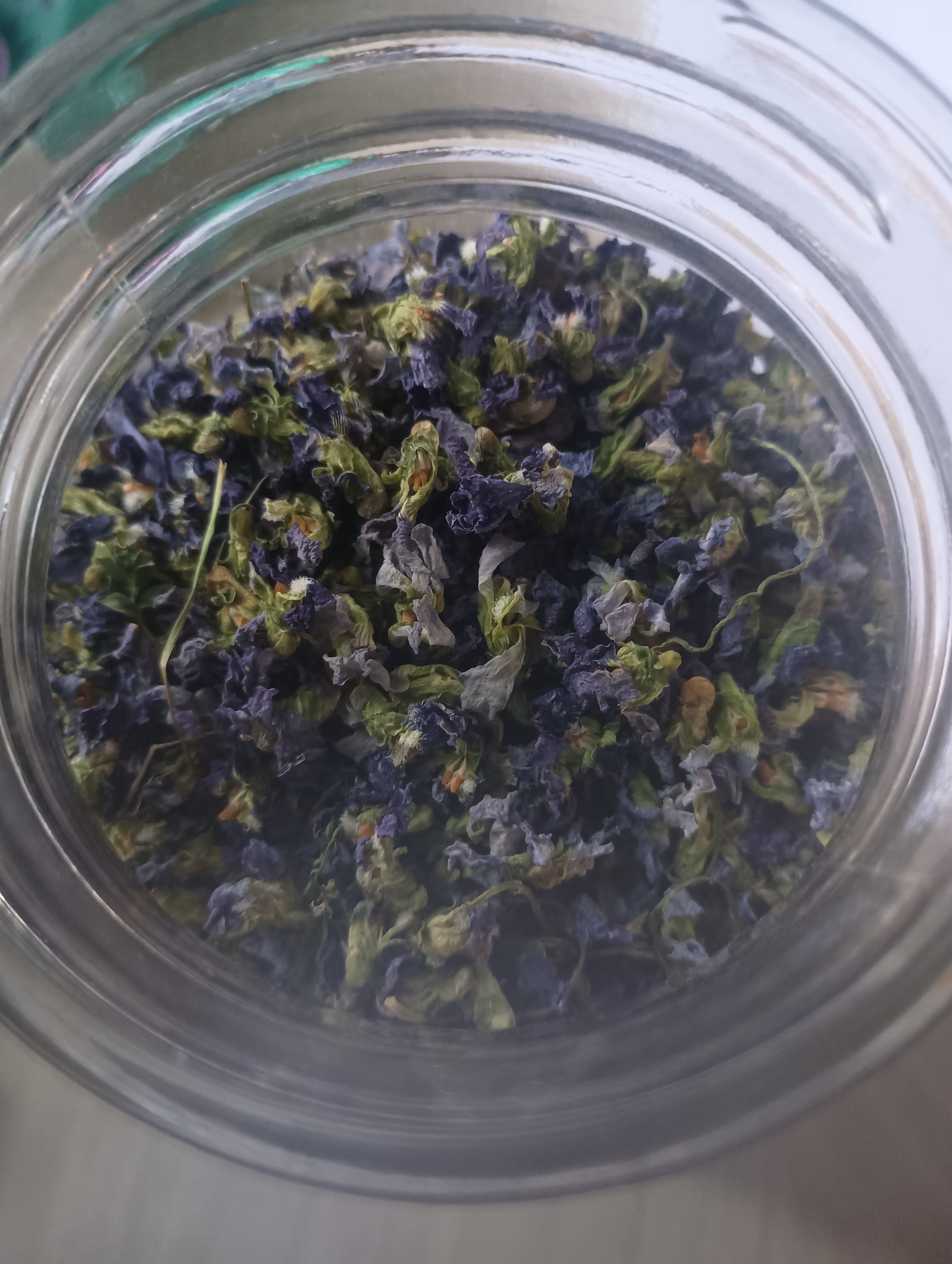 DRIED WILD VIOLETS